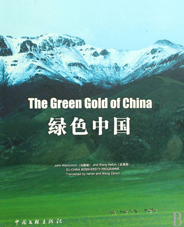 綠色中國