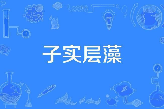 子實層藻 子實層藻