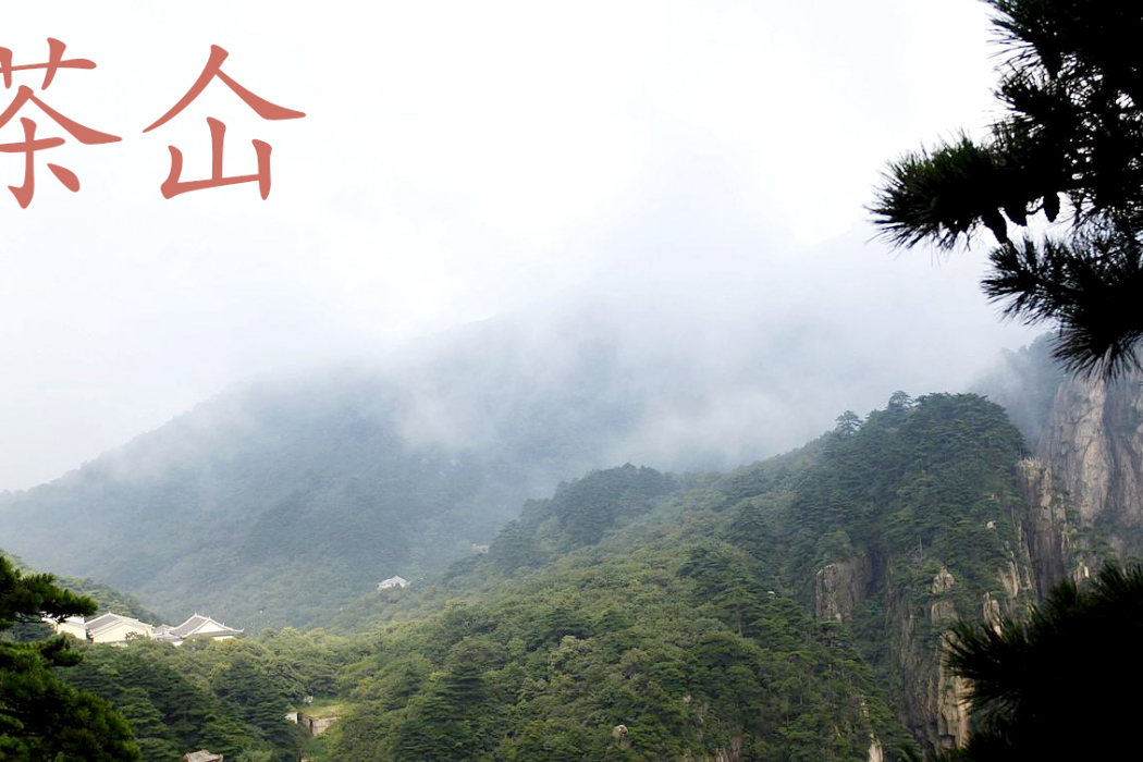 茶仚 茶仚