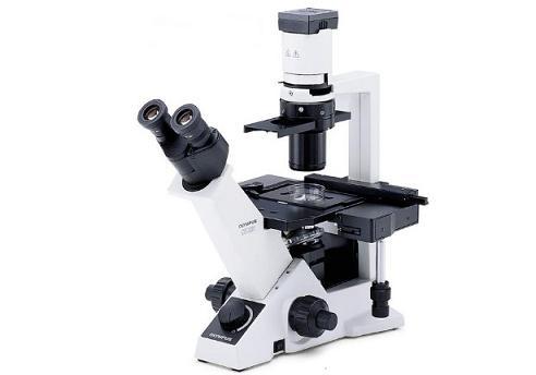 倒置顯微鏡