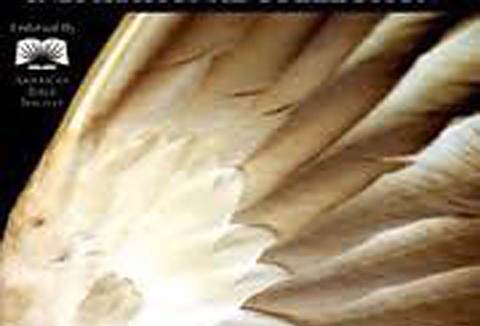 Wings of Desire: The Angels Among Us Wings of Desire: The Angels Among Us