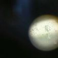 酸蝕網紋 酸蝕網紋