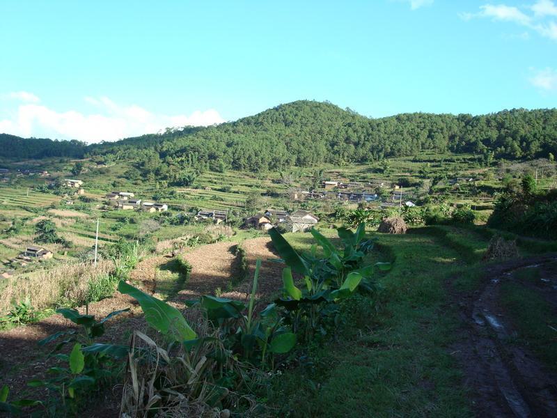龍樹自然村(雲南臨滄鳳慶縣雪山鎮中山村委會龍樹自然村) 龍樹自然村(雲南臨滄鳳慶縣雪山鎮中山村委會龍樹自然村)