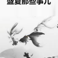 盛夏那些事兒 盛夏那些事兒