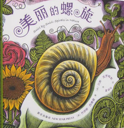 美麗的螺旋 美麗的螺旋