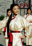 廣府太極傳奇