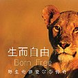 生而自由:野生母獅愛爾莎傳奇(生而自由) 生而自由:野生母獅愛爾莎傳奇(生而自由)