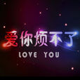 愛你煩不了 愛你煩不了