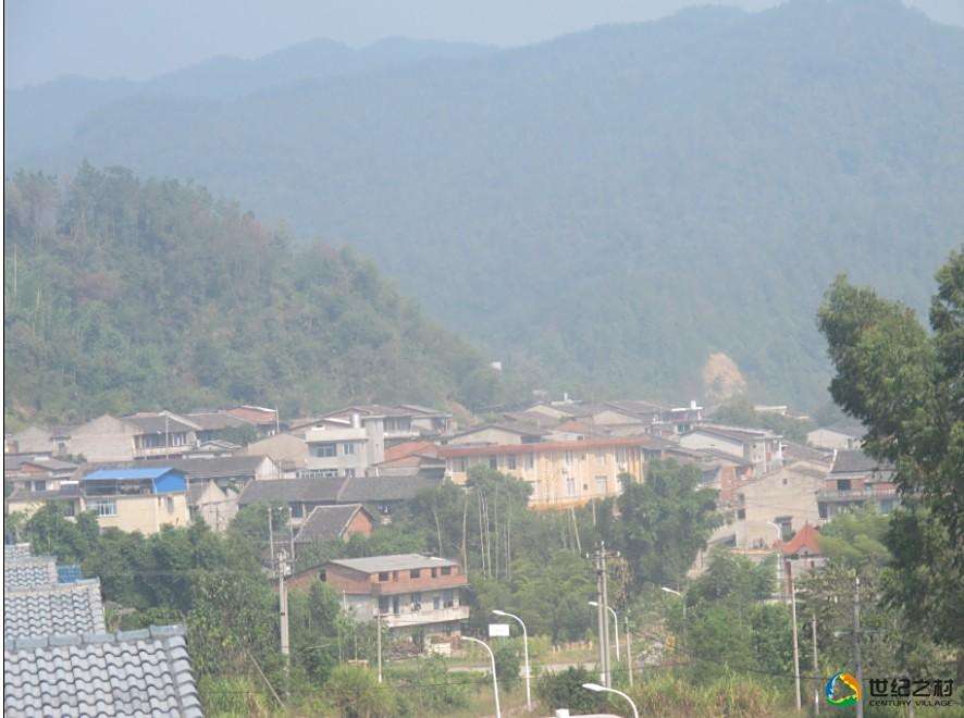 洽村