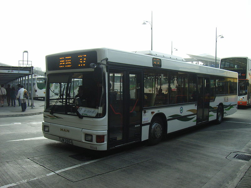 新大嶼山巴士(猛獅NL262/R型)