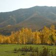 遼寧蓋縣國家森林公園