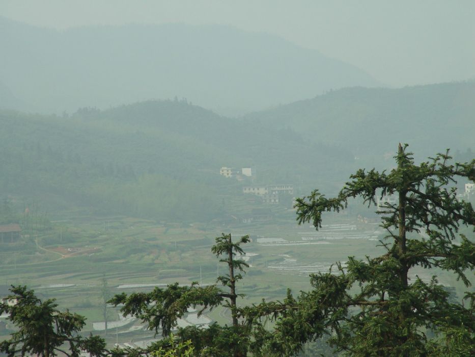 狗頭嶺羅家 狗頭嶺羅家