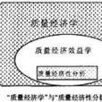 質量經濟學