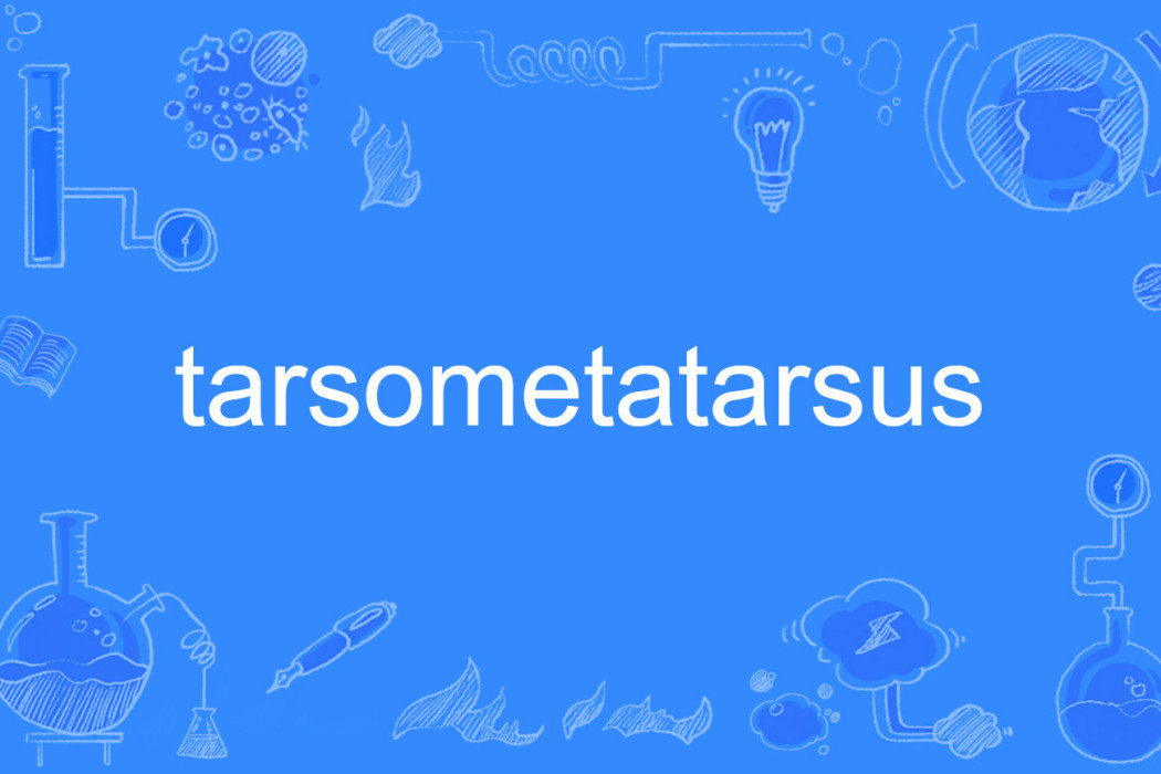 tarsometatarsus tarsometatarsus