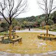 邊角地 邊角地