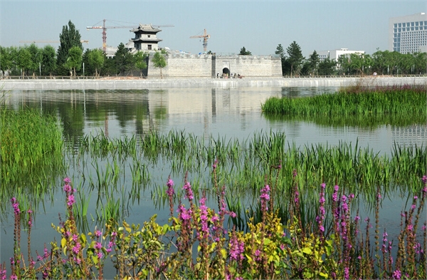 文瀛湖生態公園
