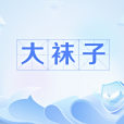 大襪子(網路流行語) 大襪子(網路流行語)