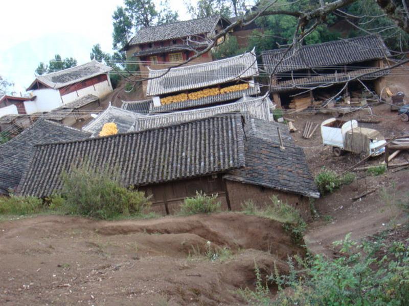 城仲一村 城仲一村