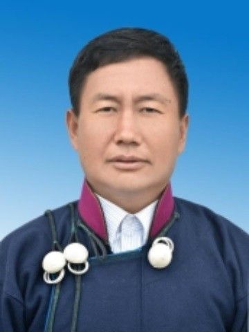 比布有打 比布有打