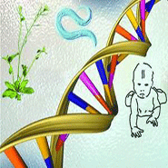 千人基因組計畫 - 研究成果