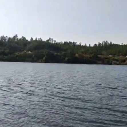 樟樹坑水庫