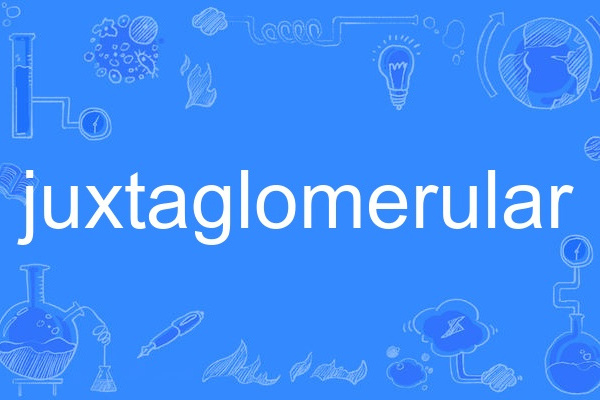 juxtaglomerular juxtaglomerular