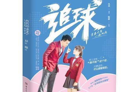 追球(2019年湖南文藝出版社出版的圖書)