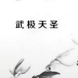 武極天聖 武極天聖