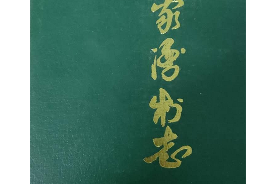 孫家灣村志