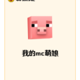 我的mc萌娘 我的mc萌娘