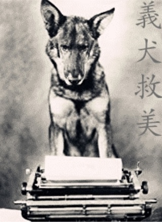 林楚楚 林楚楚