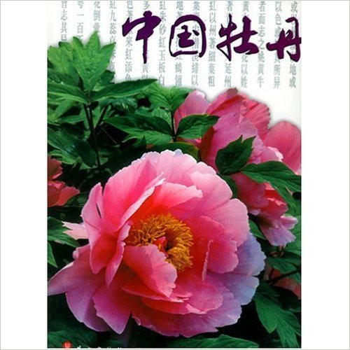 中國牡丹(2007年出版的圖書)