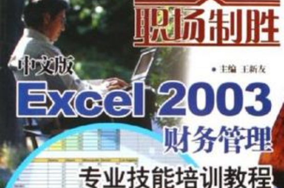 中文版Excel2003財務管理專業技能培訓教程