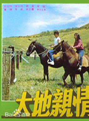 胡慧中 胡慧中