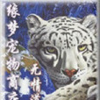 緣夢寵物商店 緣夢寵物商店