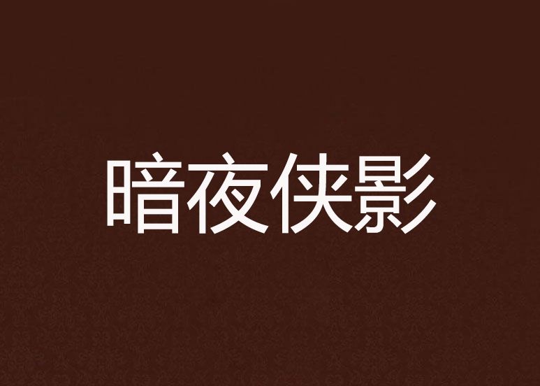 暗夜俠影