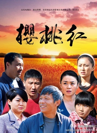王天澤(中國內地影視童星演員)