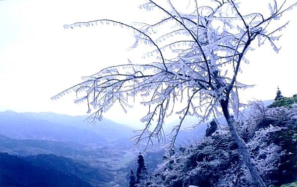 湖南雪峰山國家森林公園