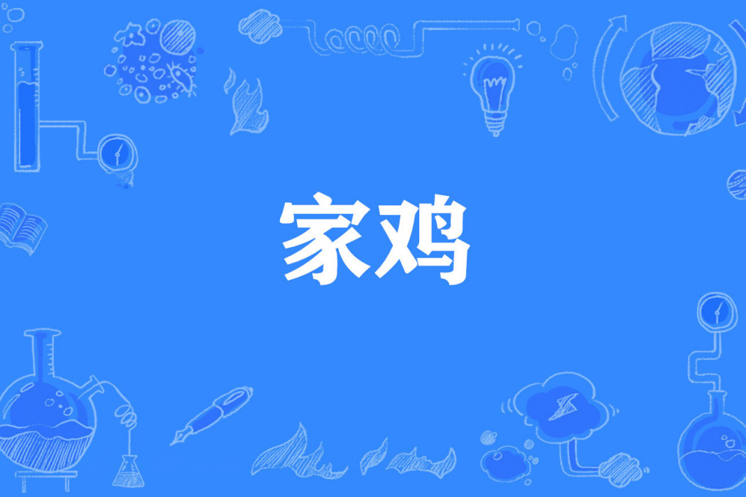 家雞(網路流行詞) 家雞(網路流行詞)