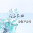 我寵你啊 我寵你啊