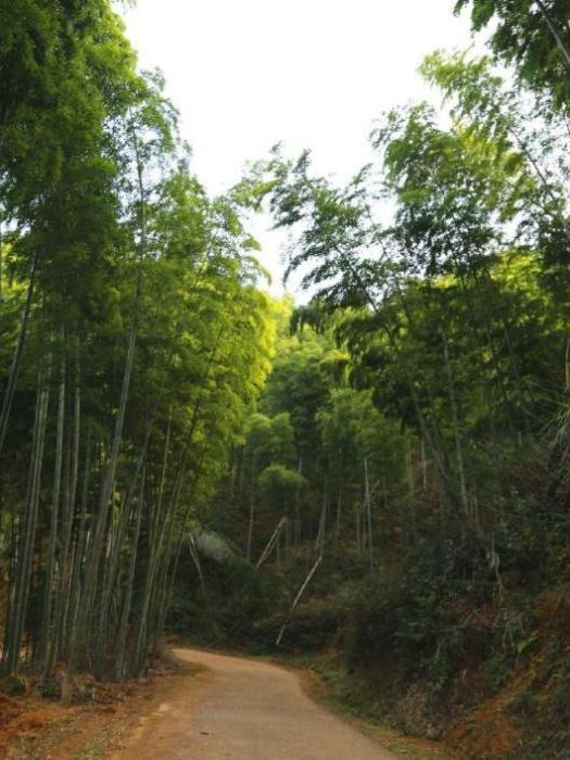 彭田村(江西省資溪縣石峽鄉下轄行政村) 彭田村(江西省資溪縣石峽鄉下轄行政村)