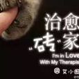 治癒磚家 治癒磚家