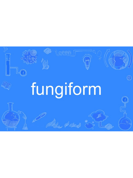 fungiform fungiform