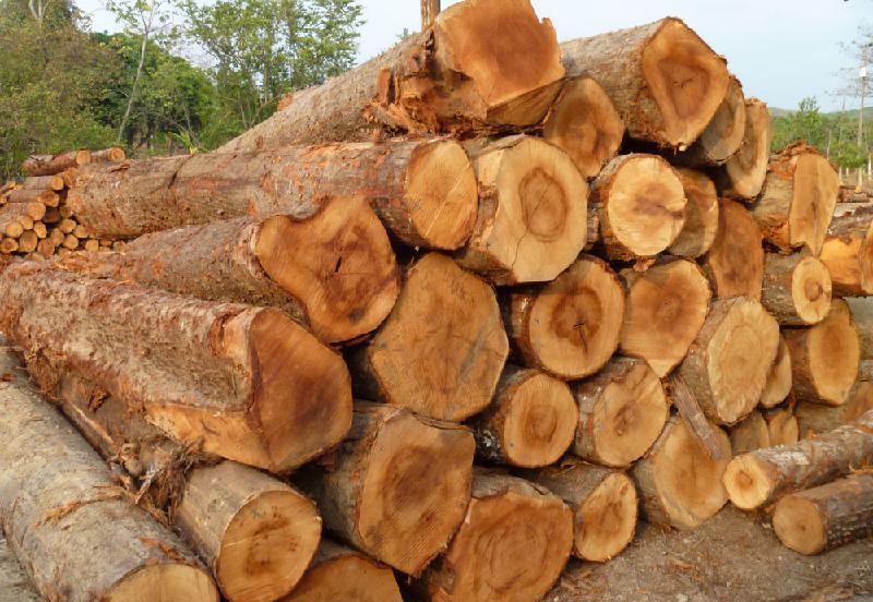 國際熱帶木材協定
