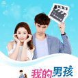 我的男孩(2017年林心如、張軒睿主演電視劇)