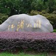 江浦公園 江浦公園