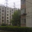 金榮園 金榮園