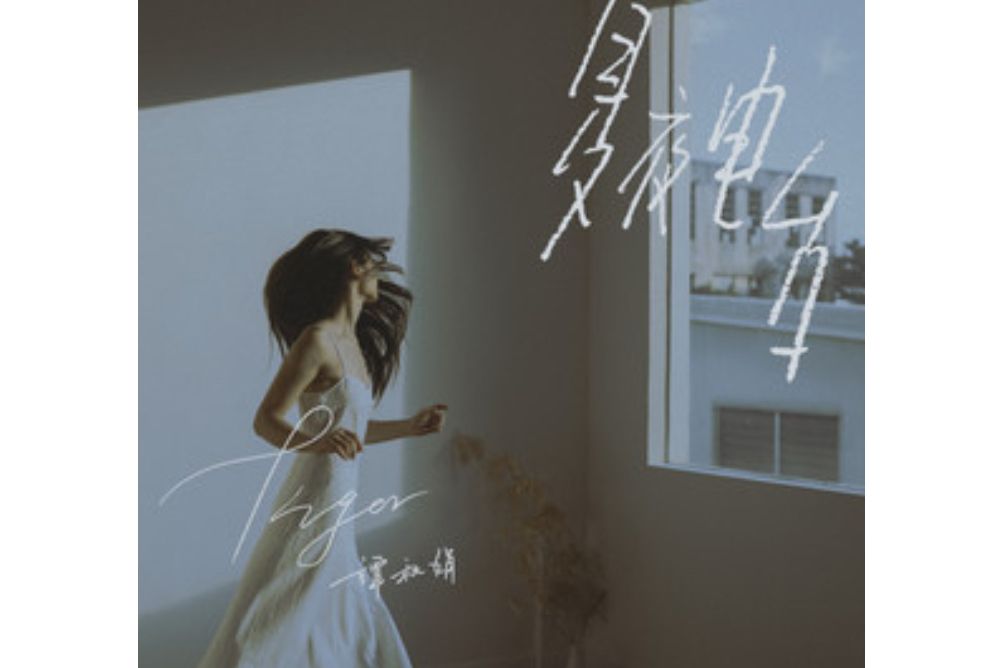 夏夜星河 夏夜星河