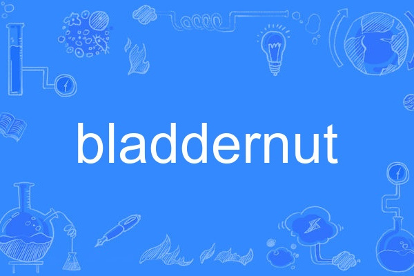 bladdernut bladdernut
