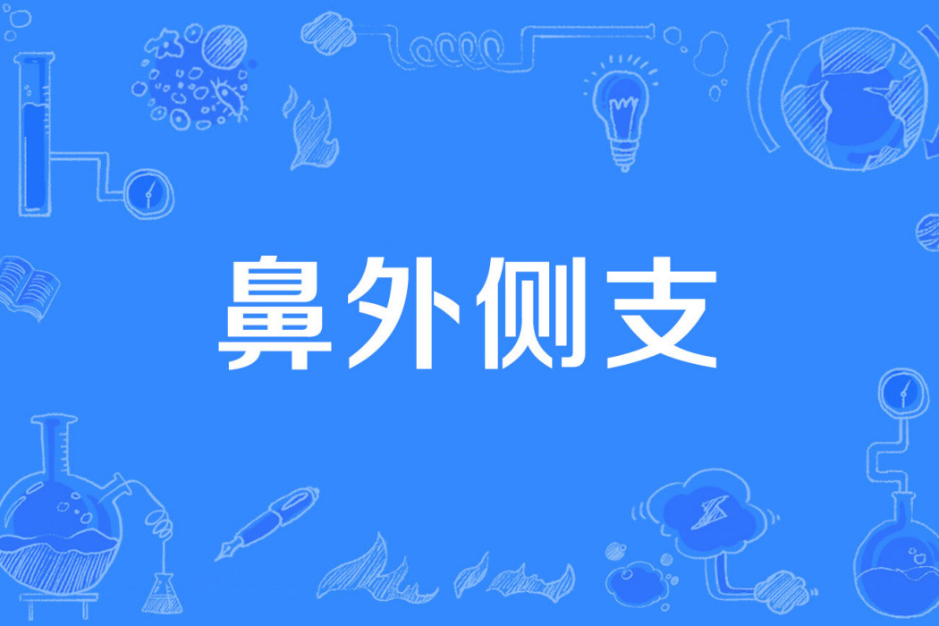鼻外側支 鼻外側支